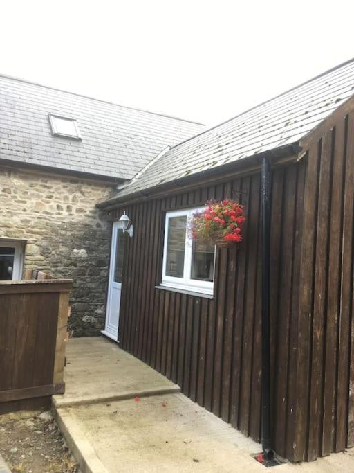 Y Boidy Bach Villa Llangranog Exterior foto